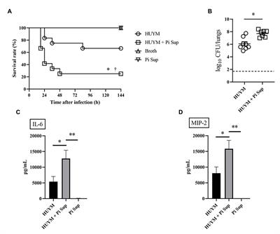 Pathogenic Effect of Prevotella intermedia on a Mouse Pneumonia Model Due to Methicillin-Resistant Staphylococcus aureus With Up-Regulated α-Hemolysin Expression